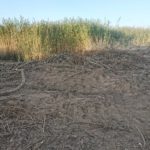 118764124_173176924286854_2862735457653228572_o