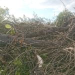 118779746_173176750953538_2723102712165480278_o