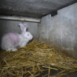 50259006257_a734c92a72_k