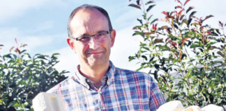 Embelium, une alternative vraiment écologique au plastique polystyrène