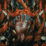 pexels-alan-cabello-1492364