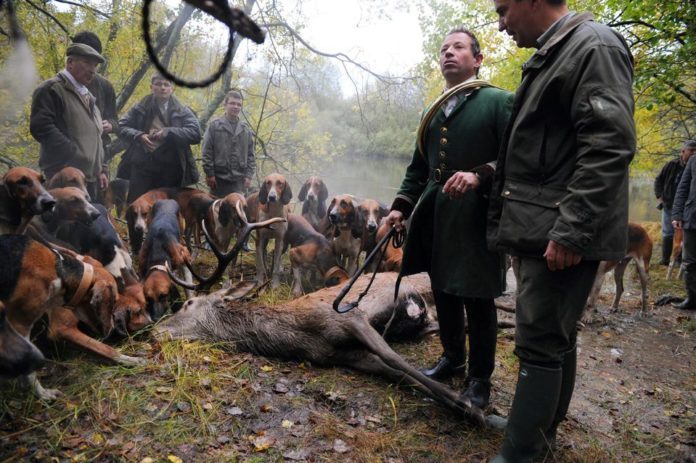 Les chasseurs représentants de la ruralité ? Une imposture déconstruite