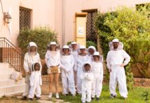 Bee’osphera : initier des particuliers à l’apiculture pour venir en aide aux abeilles