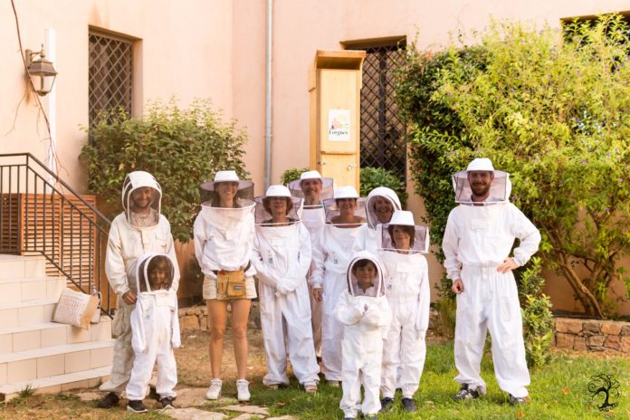 Bee’osphera : initier des particuliers à l’apiculture pour venir en aide aux abeilles