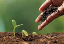 Souveraineté alimentaire : la PAC doit faire sa révolution verte d’urgence !