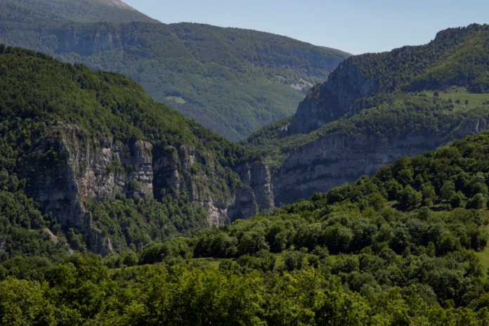 Les « Réserves de Vie Sauvage » préservent les milieux naturels de France