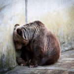 122266390_1943974785744292_1691370216827515145_n