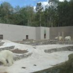 B9716508442Z.1_20180802130458_000+G6CBPP4DO.1-0