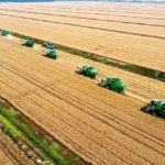 fields-5722755_1280