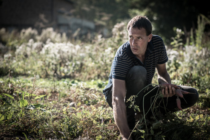 Une micro-ferme menacée par un Stade de foot en Bretagne