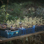 Permagrennes ete © Olivier Marie-37