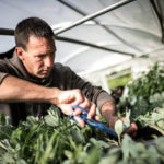 Permagrennes Printemps ete © Olivier Marie-41