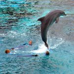 1163791566_defcedf0cd_o