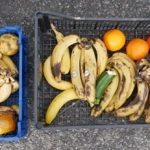 143905805_241434987543570_9141094442839090393_n