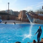 4292497961_053eb49372_o