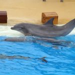 5327301666_4e96e57170_o