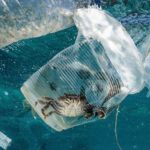 870x489_maxnewsfrfour207014