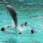 9679035421_b465c2d317_o