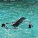 9679037777_2983d01779_o