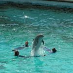 9682269812_1ba5c07bf2_o