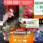 bilan-animaliste-2019-1024x