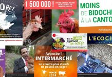 Le Prix de l’Animalisme : le point sur les avancées de la cause animale