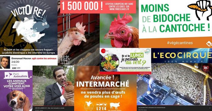 Le Prix de l’Animalisme : le point sur les avancées de la cause animale