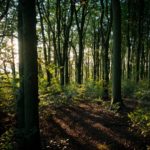 dan-blackburn-I28292hz9BI-unsplash