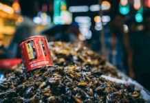 La consommation d’insectes : solution d’avenir ou fausse bonne idée ?