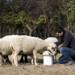 img_1351_1-1-1024×683