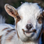 img_7390-1-e1582136717773