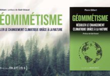 Géomimétisme : comment imiter la Nature peut nous sauver du cataclysme climatique
