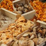 mushrooms-523629_1920