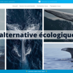 Screenshot 2021-01-01 at 16.30.29