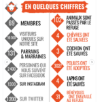 Screenshot 2021-01-16 at 15.46.42