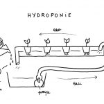 Hydroponie Credit Atelier Moustier