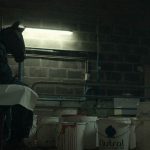 les-animaux-anonymes-4