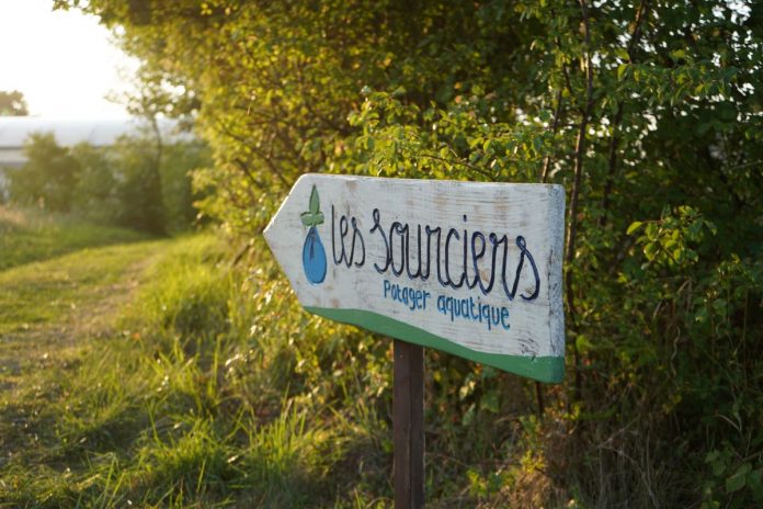 L’hydroponie à taille humaine, une solution pour produire sur des terres polluées