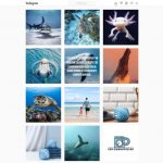 Screenshot 2021-02-17 at 16.08.37