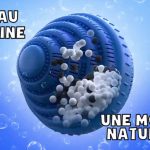 Screenshot 2021-02-17 at 20.05.10