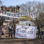 138725397_138311981432033_7972401498789579785_o