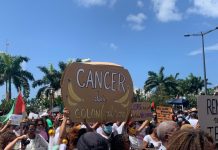 Comprendre le scandale du chlordécone : empoisonnement, impunité et postcolonialisme aux Antilles françaises