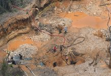 Guyane : l’État français (encore) jugé pour carence fautive concernant l’orpaillage illégal