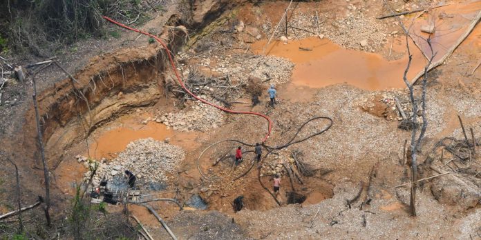 Guyane : l’État français (encore) jugé pour carence fautive concernant l’orpaillage illégal