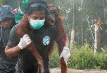 « Nous avons toutes et tous les capacités de nous engager ! » Interview avec Le Jeune Engagé