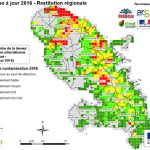 chlordecone – carte contamination BRGM