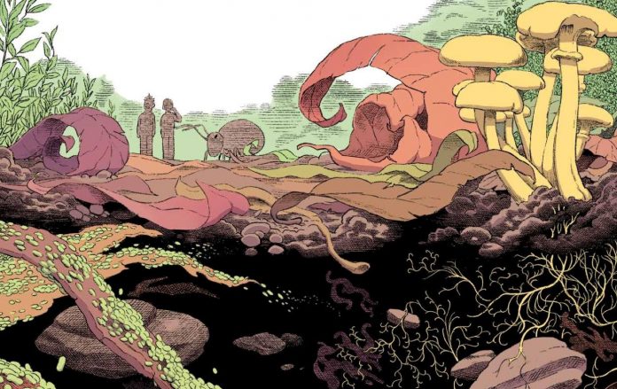 Sous terre : une BD pour partir à la découverte de la vie du sol