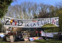 « Orchidées contre béton armé » : La première ZAD suisse menacée d’expulsion