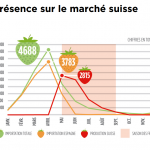 fraises suisse