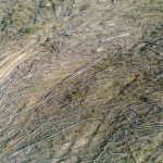 gryffyn-m-Palm6Vp7sXE-unsplash